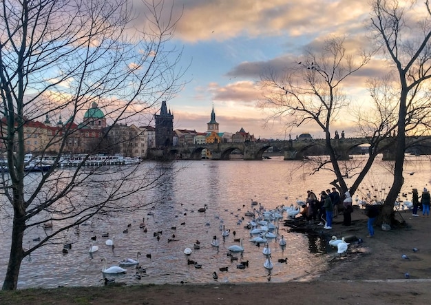 Most Karola w Pradze Czechy Piękny zachód słońca nad rzeką Wltawą