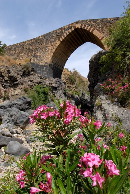 Most na kamieniach i kwiatach