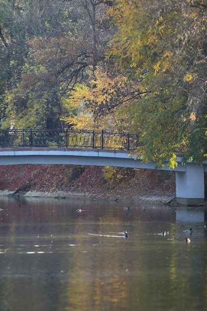 most na rzece w jesiennym parku