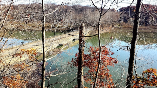 Zdjęcie most nad rzeką widziany przez drzewo jesienią
