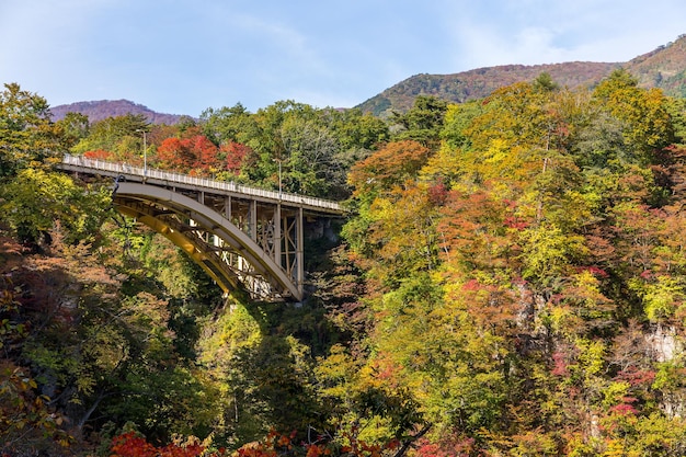 Zdjęcie most ofukazawa bashi w sezonie jesiennym