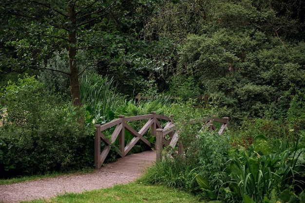 Most w ogrodzie zamku Stourhead