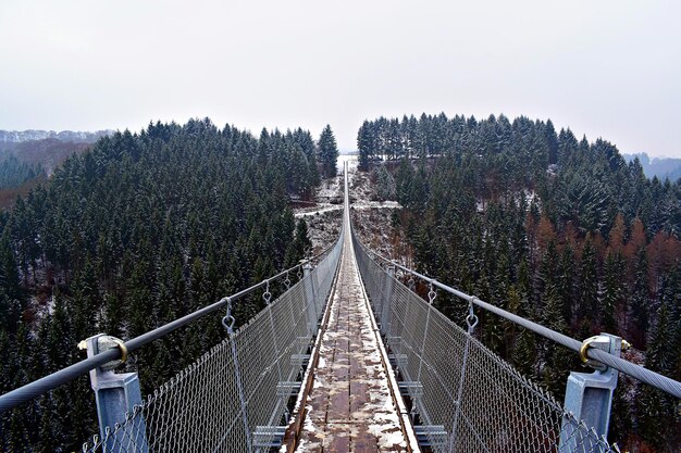 Zdjęcie most wiszący w lesie na jasnym niebie