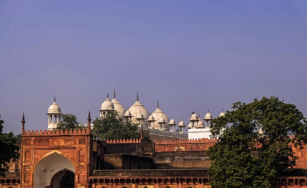 Moti Masjid Lub Meczet Perłowy W Agra Fort, Indie.