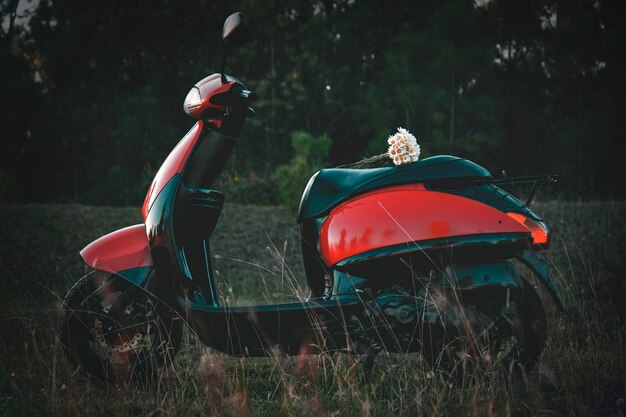 Zdjęcie motocykl na boisku