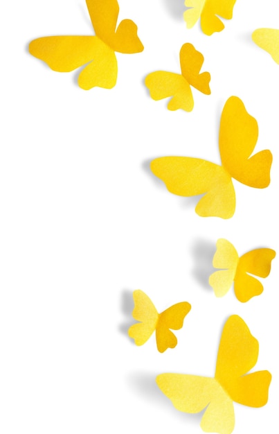 Motyle Latające - Na Białym Tle Obraz