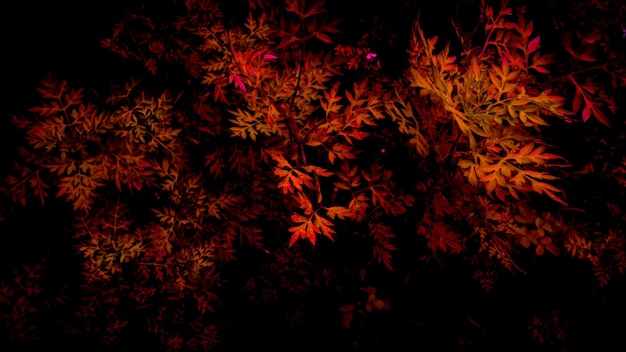 Motyw Halloween czerwony stary mur grunge w tle