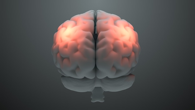 Motyw medyczny 3d renderuje mózg z pomarańczowymi strefami, które symbolizują uszkodzenie lub ból. Koncepcja strefy bólu głowy. Aktywacja strefy inteligencji mózgu.