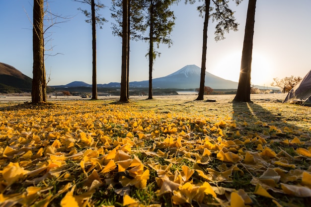 Mount Fuji Sunrise