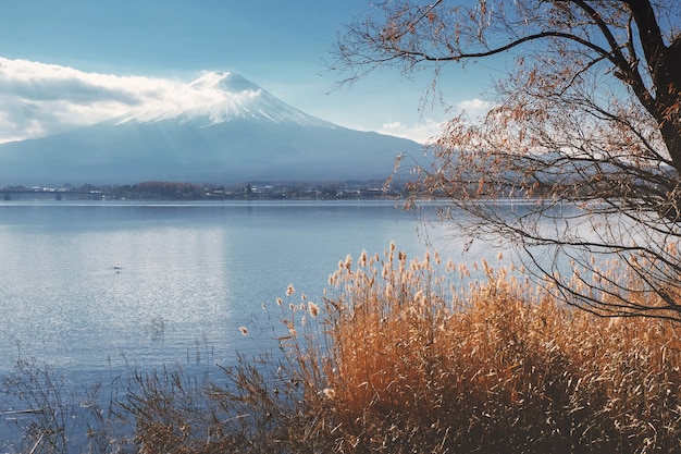 Mount Fuji Widok Z Wokół Jeziora Kawaguchi Jesienią Z Efektem Stylu Retro