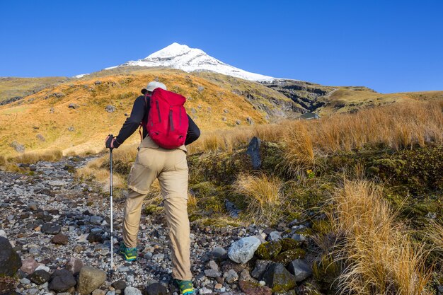 Mount Taranaki / Mount Egmont W Parku Narodowym Egmont Na Wyspie Północnej W Nowej Zelandii. Piękne Naturalne Krajobrazy