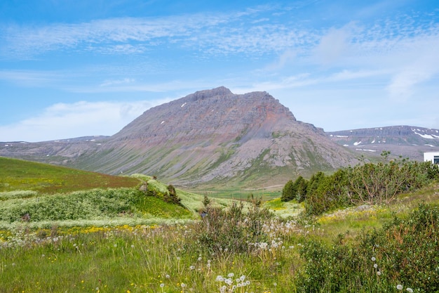 Mountain Deilir na zachodnich fiordach Islandii