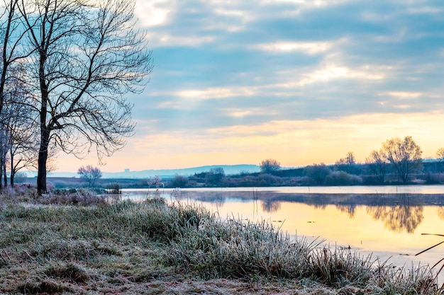 Mroźny Poranek Nad Rzeką, Pokryte Szronem Drzewa I Trawa Nad Rzeką O świcie