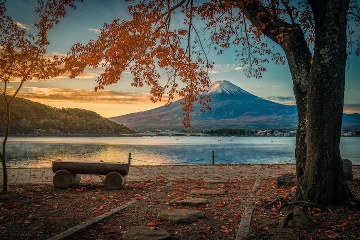 Zdjęcie mt. fuji nad jeziornym kawaguchiko z jesieni ulistnieniem przy wschodem słońca w fujikawaguchiko, japonia.