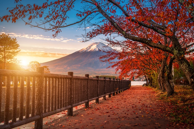Mt. Fuji nad Jeziornym Kawaguchiko z jesieni ulistnieniem przy wschodem słońca w Fujikawaguchiko, Japonia.