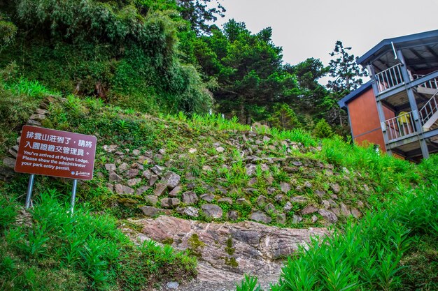 Mtjade Mountain Krajobraz Yushan Najwyższa Góra Na Tajwanie