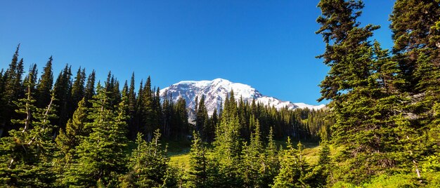 MtRainier