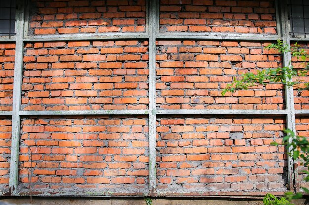 Mur z ceglanych kamieni Zielone gałęzie Nowy budynek