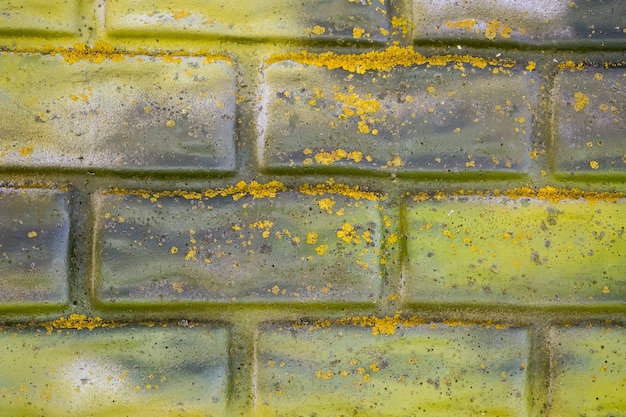 Mur z cegły pomalowany na żółto i zielono