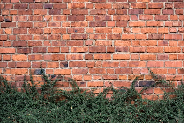 Mur z czerwonej cegły i krzewy w parku