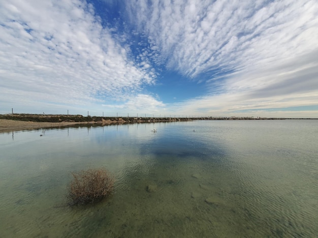 Murcia San Pedro del Pinatar Paisaje lago salado y molino