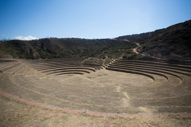 Murena w Cusco, Święta Dolina, Peru. Tarasy rolnicze w Świętej Dolinie.