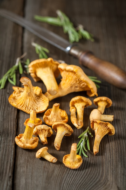 Mushrooms Mushroomshanterelle Grzyby