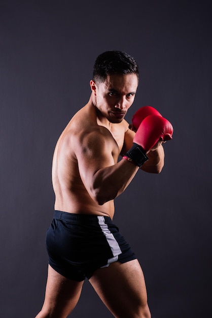 Muskularny model sportowy młody człowiek w rękawiczkach bokserskich na szarym tle mężczyzna napina mięśnie