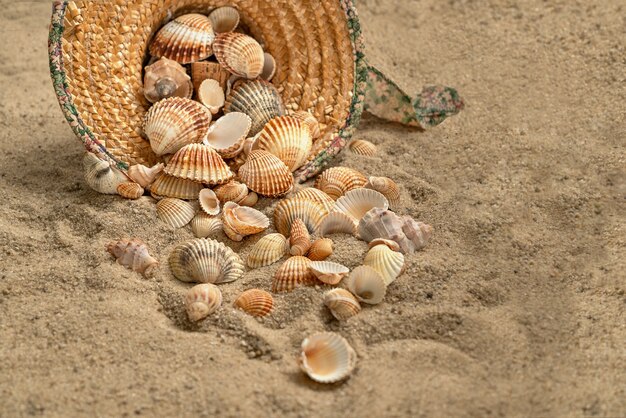 Muszle Wysypane Ze Słomkowego Kapelusza Rzuconego Na Piaszczystą Plażę