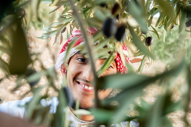 Muzułmanin zbierający drzewo oliwne