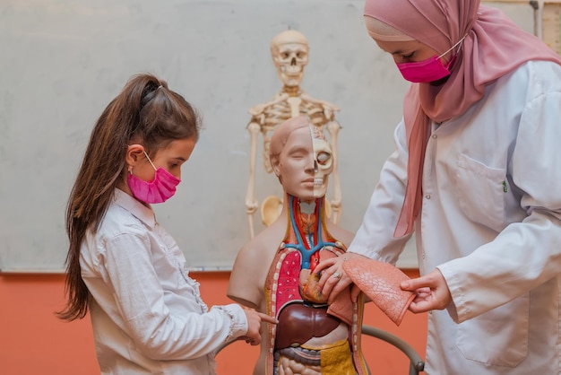 Muzułmańska nauczycielka wykorzystuje model ludzkiego ciała do wyjaśnienia anatomii w laboratorium w klasie.