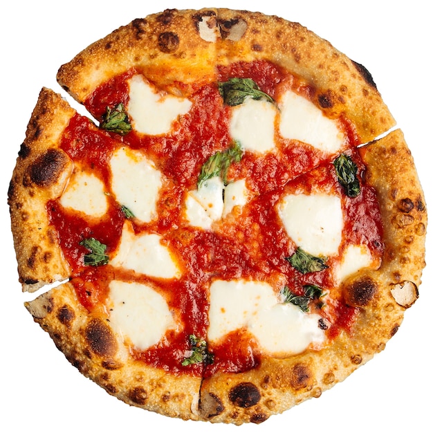 Na białym tle margherita pizzy neapolitańskiej