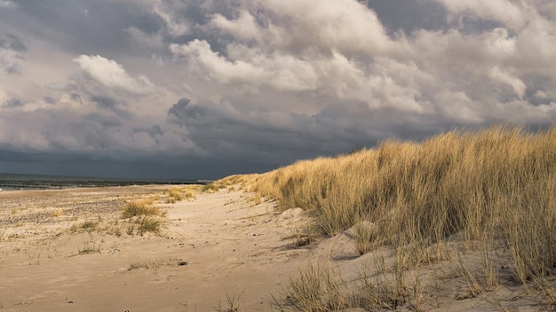 Na plaży nad Bałtykiem z chmurami, wydmami i plażą Wędrówki jesienią