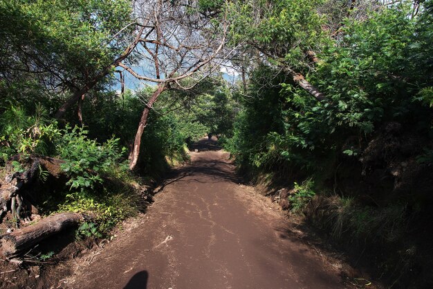 Na szczycie wulkanu Ijen, Indonezja