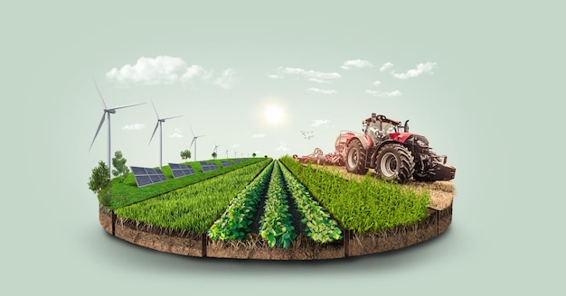 Zdjęcie na tej ilustracji pokazano farmę i panele słoneczne.