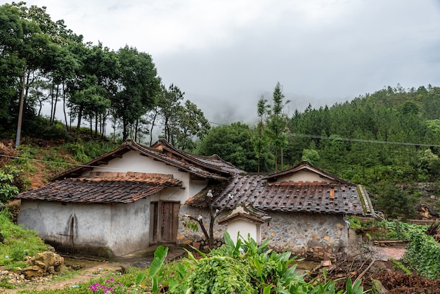 Na wsi po deszczu las i domy są mokre
