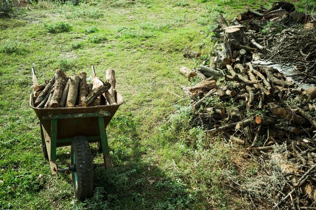 Zdjęcie na ziemi stoi stary, zardzewiały wózek z suszonym drewnem do palenia