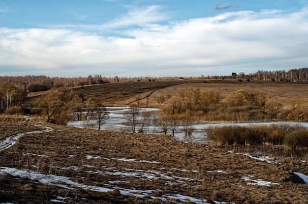 Zdjęcie nad brzegiem rzeki wczesną wiosną