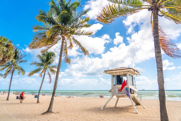 Nadmorska promenada z palmami w słoneczny dzień w fort lauderdale