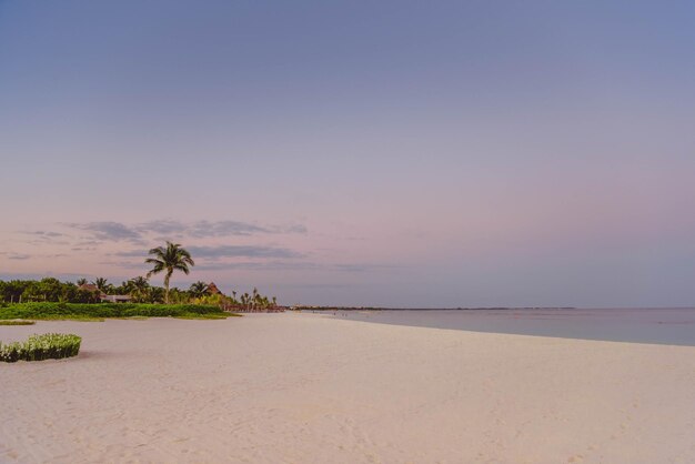 Nadmorski brzeg na plaży Karaibów w obszarze Hoteleria w Cancun Quintana Roo Meksyk