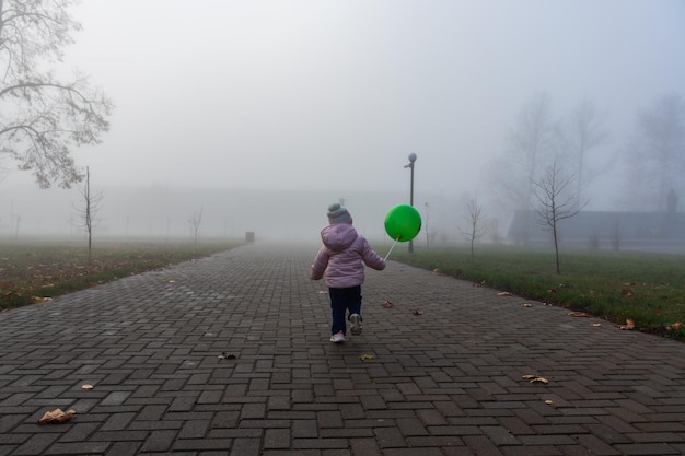 Nagie drzewa w słonecznej mgle Park