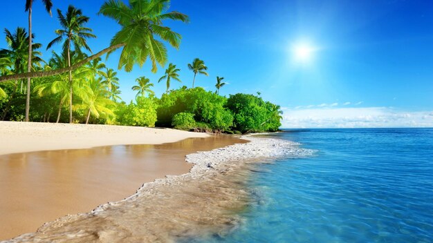 Zdjęcie najlepsza podróż krajobraz raju plaża tropikalna wyspa tło piękne palmy