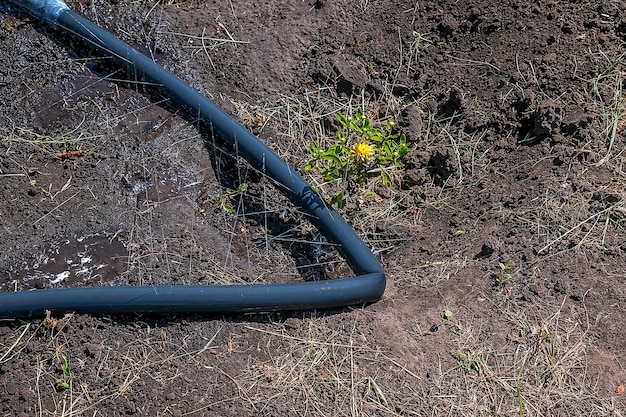 Zdjęcie najprostszy system nawadniania wąż z otworami leży na glebie pod ciśnieniem wody