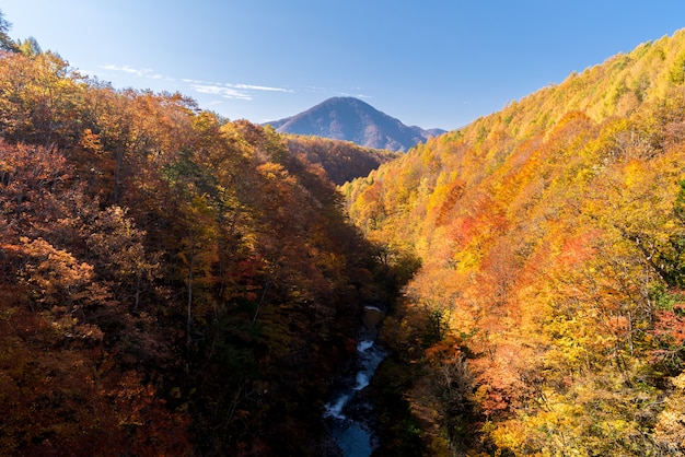 Nakuchugawa Fukushima Autumn