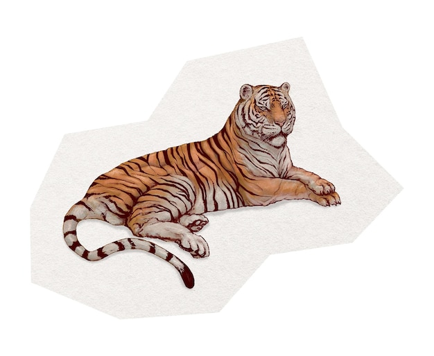 Nalepka na tygrysa z PNG ilustracja zwierzęca wycięta na przezroczystym tle
