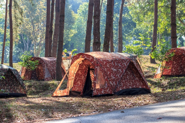 Zdjęcie namiot kempingowy w lesie.