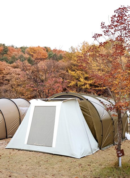 Zdjęcie namiot na polu przy drzewach przeciwko niebu jesienią