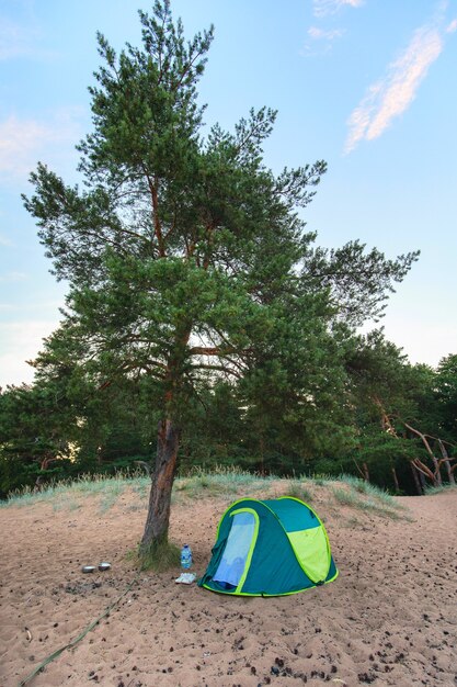 Namiot pod drzewem na piaszczystej plaży