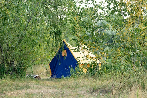 Zdjęcie namiot turystyczny w obozie wśród drzew i krzewów po południu.