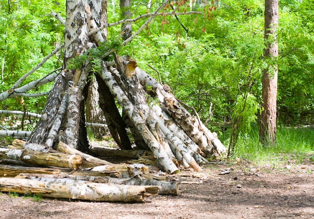 Namiot wykonany z gałęzi w lesie